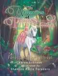 Cover: The Adventures of Princess Jordan 1 - Xlibris AU