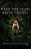 Cover: When the Stars Begin to Fall - Blackstone Publishing