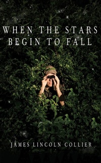 Enlarge image Cover: When the Stars Begin to Fall - Blackstone Publishing