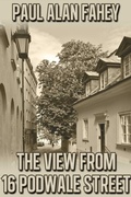 Cover: The View from 16 Podwale Street - Jms Books LLC