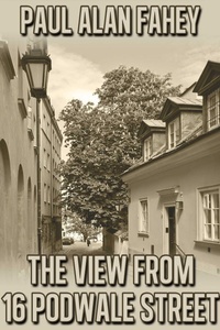 Enlarge image Cover: The View from 16 Podwale Street - Jms Books LLC