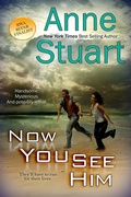 Cover: Now You See Him - Bell Bridge Books