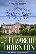 Cover: Tender the Storm - Diversion Books