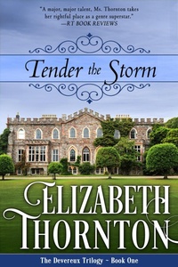 Enlarge image Cover: Tender the Storm - Diversion Books