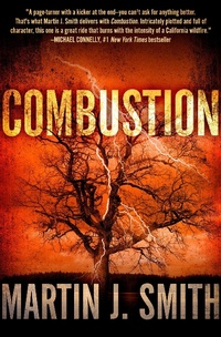 Enlarge image Cover: Combustion - Diversion Books