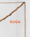 Cover: Kishio Suga - Blum (Peter) Edition,U.S.
