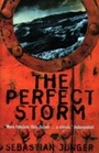 Cover: The Perfect Storm - Fourth Estate Ltd