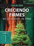 Cover: Creciendo Firmes En La Familia de Dios, Guia del Lider - NavPress Publishing Group