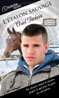 Cover: L'&eacute;talon sauvage - Dreamspinner Press