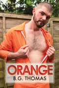 Cover: Orange - Dreamspinner Press