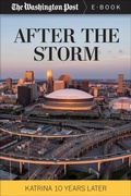 Cover: After the Storm - Diversion Books