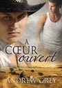 Cover: À coeur ouvert - Dreamspinner Press