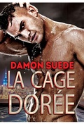 Cover: La cage dor&eacute;e - Dreamspinner Press