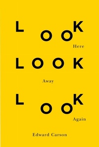 Enlarge image Cover: Look Here Look Away Look Again - McGill-Queen's University Press