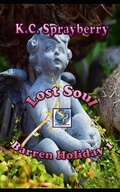 Cover: Lost Soul - Solstice Publishing