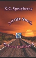 Cover: Adrift Souls - Solstice Publishing