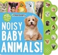 Cover: Discovery: Noisy Baby Animals! - Silver Dolphin Books