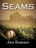 Cover: Seams - Jan Sumner
