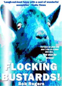 Enlarge image Cover: Flocking Bustards! - Bob Rogers