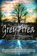 Cover: Grey Area: 13 Ghost Stories - Third Person Press