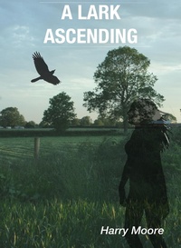 Enlarge image Cover: Lark Ascending - Harry Moore