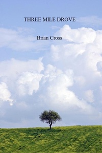 Enlarge image Cover: Three Mile Drove - Brian Cross