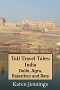 Cover: Tall Travel Tales: India. Delhi, Agra, Rajasthan and Rats. - art and soul interiors