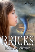 Cover: Bricks - Anaiah Press