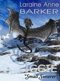 Cover: Iggie, &quote;Small Sorcerer&quote; - Laraine Anne Barker