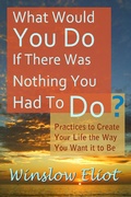 Cover: What Would You Do If There Was Nothing You Had To Do? - Winslow Eliot