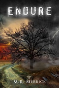 Cover: Endure (The Protector Book 4) - M.R. Merrick