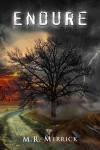 Enlarge image Cover: Endure (The Protector Book 4) - M.R. Merrick