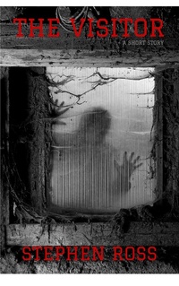 Enlarge image Cover: Visitor - Stephen Ross