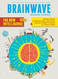 Cover: Brain #11 - Amar Chitra Katha Pvt Ltd