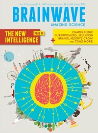 Enlarge image Cover: Brain #11 - Amar Chitra Katha Pvt Ltd