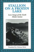 Cover: Stallion on a Frozen Lake - Maypop Books,U.S.