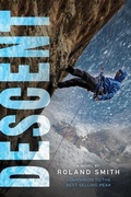 Cover: Descent - Houghton Mifflin Books for Children