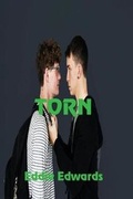 Cover: Torn - Solstice Publishing