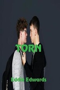 Enlarge image Cover: Torn - Solstice Publishing