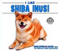 Enlarge image Cover: I Like Shiba Inus! - Enslow Publishing