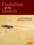 Cover: Evolution of the Insects - Cambridge University Press