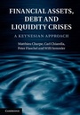 Cover: Financial Assets, Debt and Liquidity Crises - Cambridge University Press