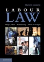 Cover: Labour Law - Cambridge University Press