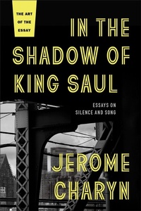 Abbildung von: In the Shadow of King Saul - Bellevue Literary Press