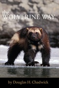 Cover: The Wolverine Way - Patagonia Books