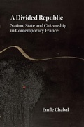 Cover: Divided Republic - Cambridge University Press