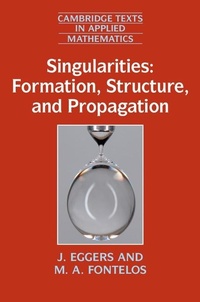 Abbildung von: Singularities: Formation, Structure, and Propagation - Cambridge University Press
