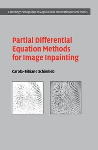 Enlarge image Cover: Partial Differential Equation Methods for Image Inpainting - Cambridge University Press