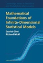 Cover: Mathematical Foundations of Infinite-Dimensional Statistical Models - Cambridge University Press