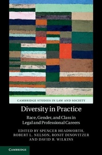 Enlarge image Cover: Diversity in Practice - Cambridge University Press